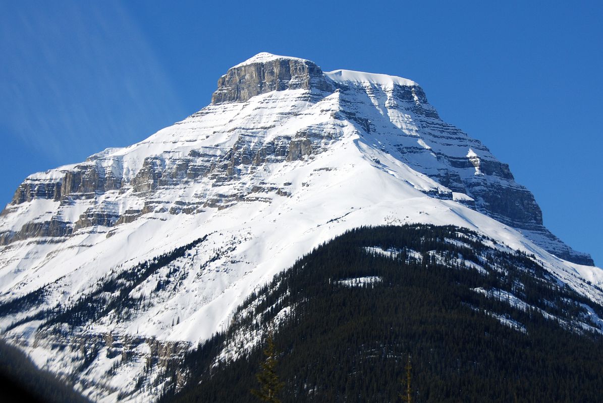 04 Mount Amery From Icefields Parkway
